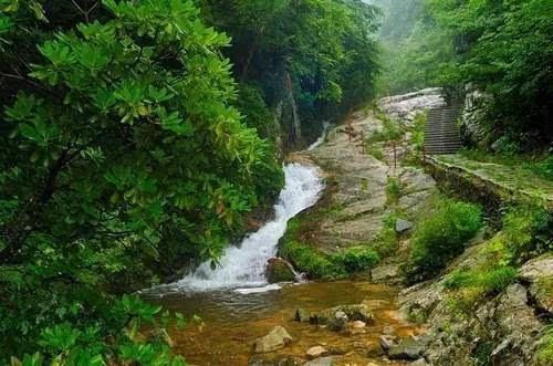 春雨直播app